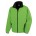 Vivid Green / Black